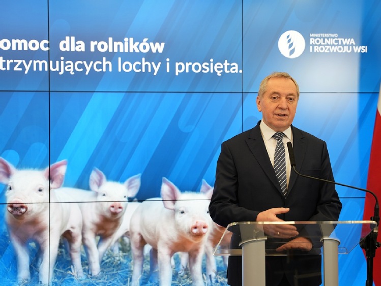 Pomoc dla rolników utrzymujących lochy i prosięta